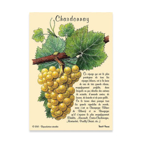 Carte Postale Chardonnay