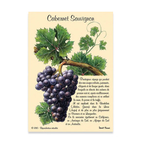 Carte Postale Cabernet...