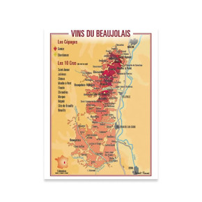 Carte Postale Vins du...