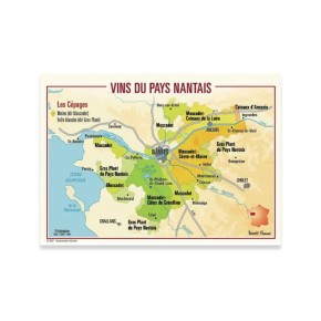 Carte Postale Vins du Pays...