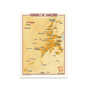 Carte Postale Vins de Sancerre