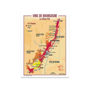 Carte Postale Vins de...